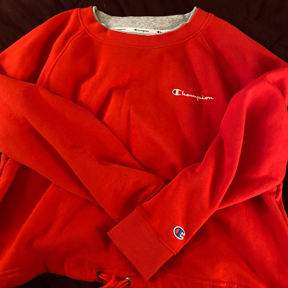 Champion Sweater
